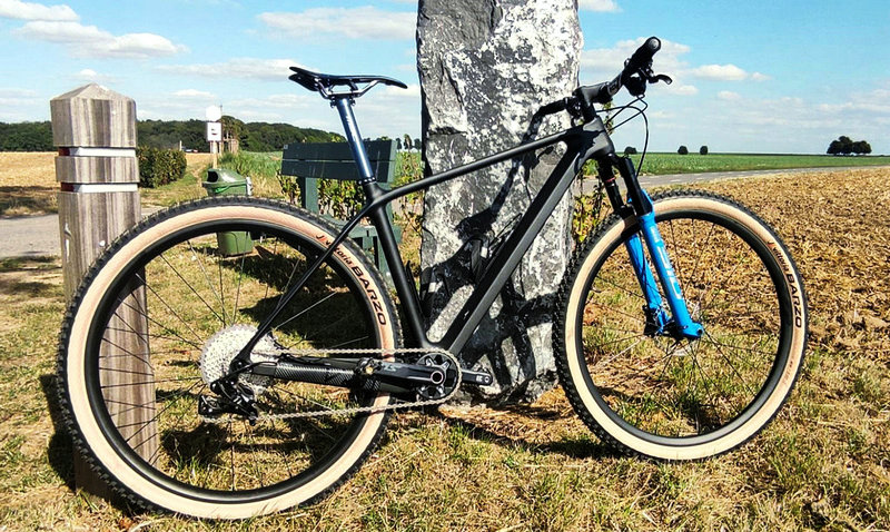 29-calowy rower cross country z włókna węglowego